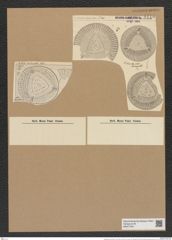 Aulacodiscus schmidtii A. Schm.Witt. (de-Toni-Nr.: Genus 182, Species 4521) Zeichnungen Sammlung Grunow Nr. 8110 (NHMW-BOT-W0377454)